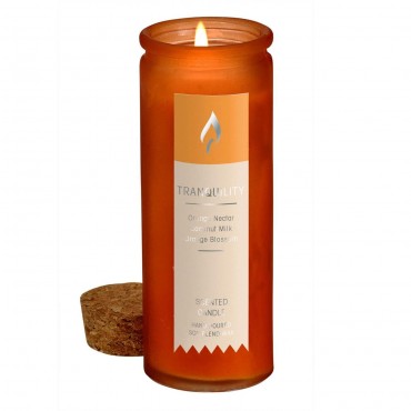 Tranquility Scent Tincture Bottle Candle