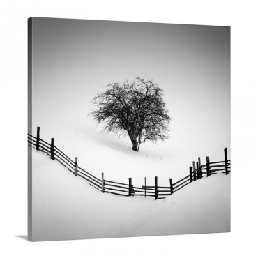 Trapped Wall Art - Canvas - Gallery Wrap