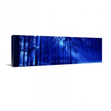 Trees Titisee Germany Wall Art - Canvas - Gallery Wrap
