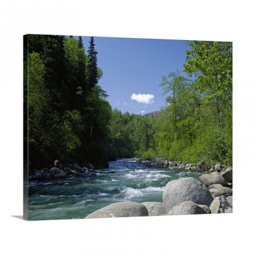 Trees And Rocks Along Clear Mountain Stream Spring Alaska Wall Art - Canvas - Gallery Wrap