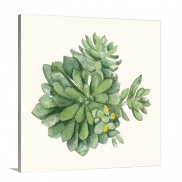 Tropical Botanicals 8 Wall Art - Canvas - Gallery Wrap