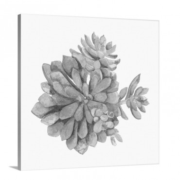 Tropical Botanicals 8 Wall Art - Canvas - Gallery Wrap