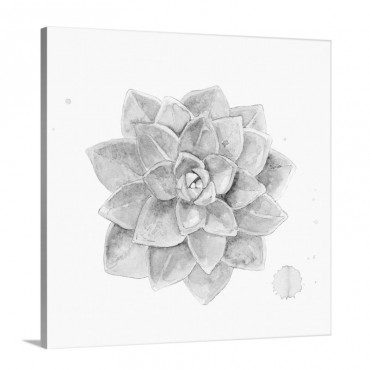 Tropical Botanicals 1 Wall Art - Canvas - Gallery Wrap