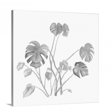 Tropical Botanicals 7 Wall Art - Canvas - Gallery Wrap