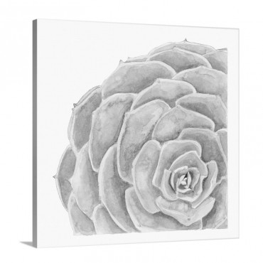 Tropical Botanicals 9 Wall Art - Canvas - Gallery Wrap