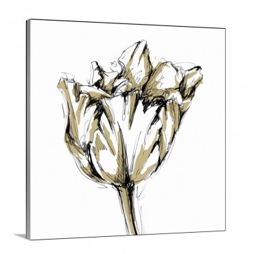 Tulip Sketch I Wall Art - Canvas - Gallery Wrap