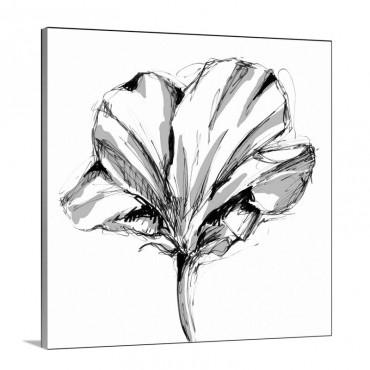 Tulip Sketch I V Wall Art - Canvas - Gallery Wrap