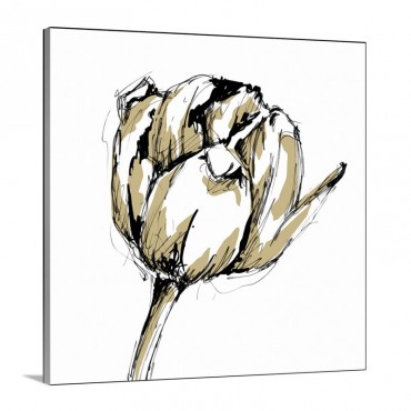 Tulip Sketch I I Wall Art - Canvas - Gallery Wrap