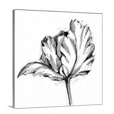 Tulip Sketch I I I Wall Art - Canvas - Gallery Wrap