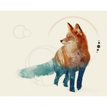 Fox Double Exposure Wildlife Art I I