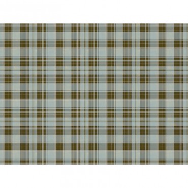 Tartan Plaid In Green And Brown