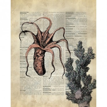 Vintage Dictionary Art Octopus