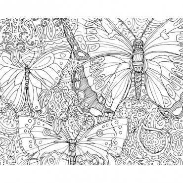 Butterflies