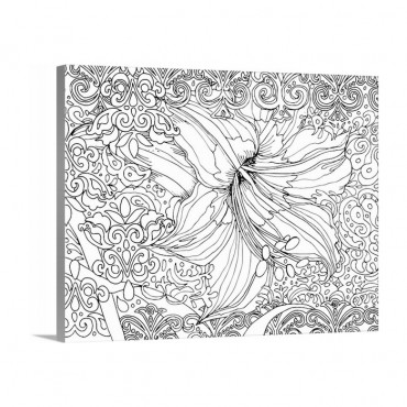 Amaryllis
