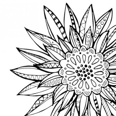 Color Me Sunflowers