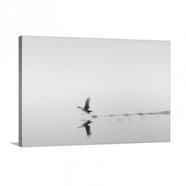 Untitled Wall Art - Canvas - Gallery Wrap