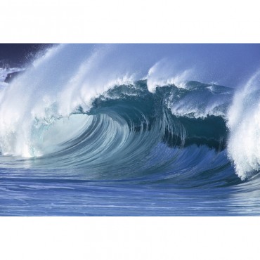 Hawaii Large Wave Curling