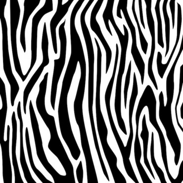Zebra Chic