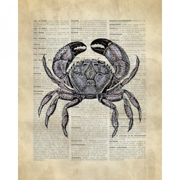 Vintage Dictionary Art Crab
