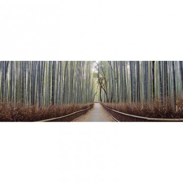 Bamboo Trees In A Forest Arashiyama0 Kyoto Prefecture Japan