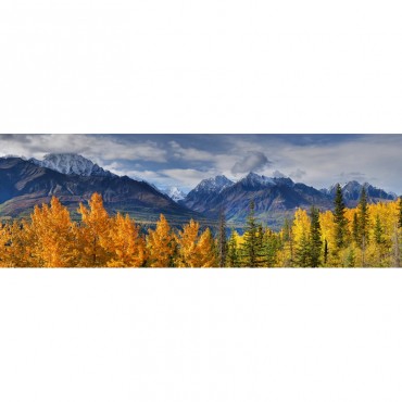 Panoramic View Of The Fall Foliage And Snowcapped Chugach Mountains Alaska