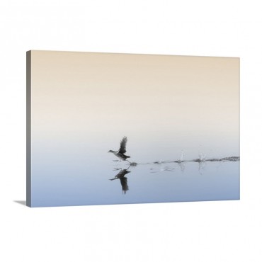Untitled Wall Art - Canvas - Gallery Wrap