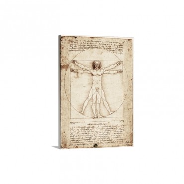 Vitruvian Man 1492 Drawing Wall Art - Canvas - Gallery Wrap