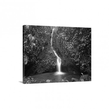 Waterfall In The Milpe Bird Sanctuary Mindo Cloud Forest Ecuador Wall Art - Canvas - Gallery Wrap