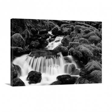 Waterfall Over Mossy Rocks Olympic National Park Washington United States Wall Art - Canvas - Gallery Wrap