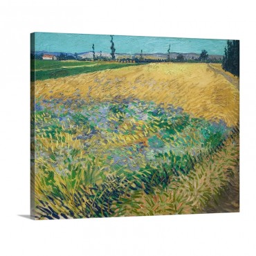 Wheatfield By Vincent Van Gogh Wall Art - Canvas - Gallery Wrap