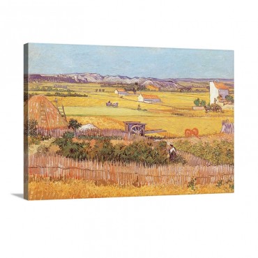 Wheatfields Wall Art - Canvas - Gallery Wrap