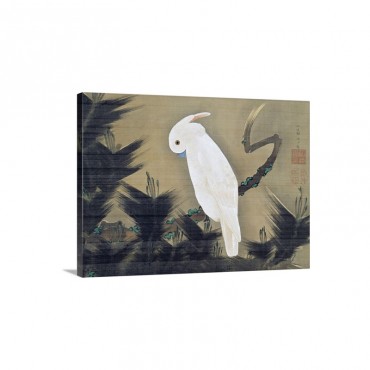 White Cockatoo On A Pine Branch By Ito Jakuchu Wall Art - Canvas - Gallery Wrap