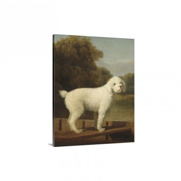 White Poodle In A Punt By George Stubbs 1780 British Painting Wall Art - Canvas - Gallery Wrap