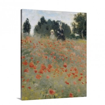 Wild Poppies Detail Wall Art - Canvas - Gallery Wrap