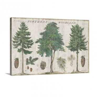 Woodland Chart I Wall Art - Canvas - Gallery Wrap