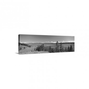 Yellowstone National Park WY Wall Art - Canvas - Gallery Wrap