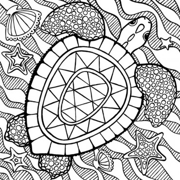 Sea Turtle