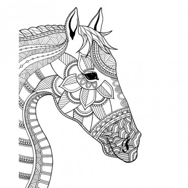 Horse Portrait