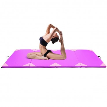 4 Ft. x 10 Ft. x2 In. Thick Gym Fitness Exercise Gymnastics Mat