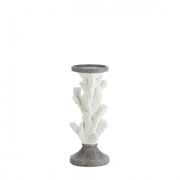 Coral Candle Holder