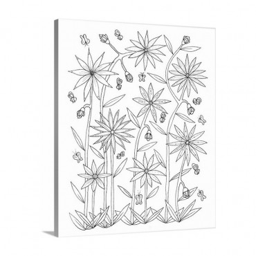 Daisies