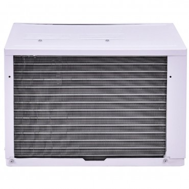 6000/8000 BTU 115 V White Compact Window-Mounted Air Conditioner With Remote Control