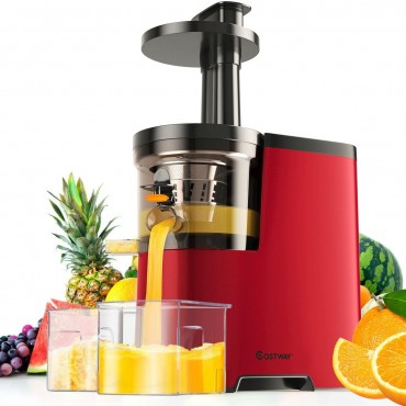 Wide Mouth Slow Masticating Juicer Extractor Machine