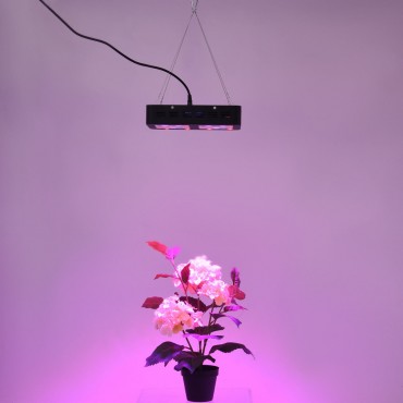 300W LED Full Spectrum For Indoor Plants Flower Bloom Lamp