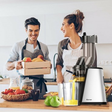 Stainless Steel Slow Masticating Juicer Extractor