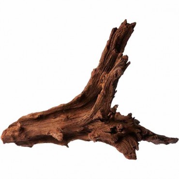Blue Ribbon Natural Malaysian Driftwood - Large - 20 in. - 26 in. Long