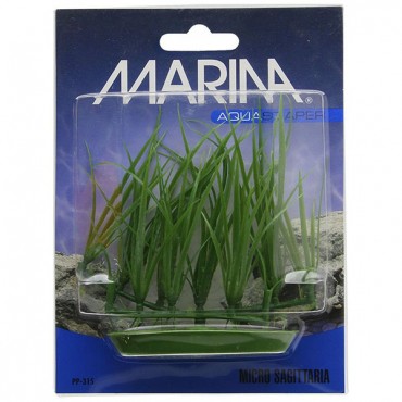 Marina Foreground Micro Sagittaria Aquarium Plant - Micro Sagittaria Aquarium Plant - 5 Pieces