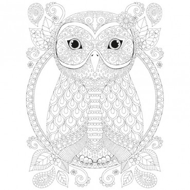 Night Owls 15