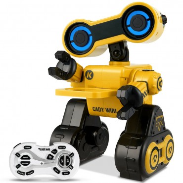 Intelligent Programmable Interactive Remote Control Robot