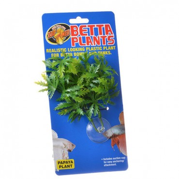 Zoo Med Aquatic Betta Plants - Papaya - Papaya Betta Plant